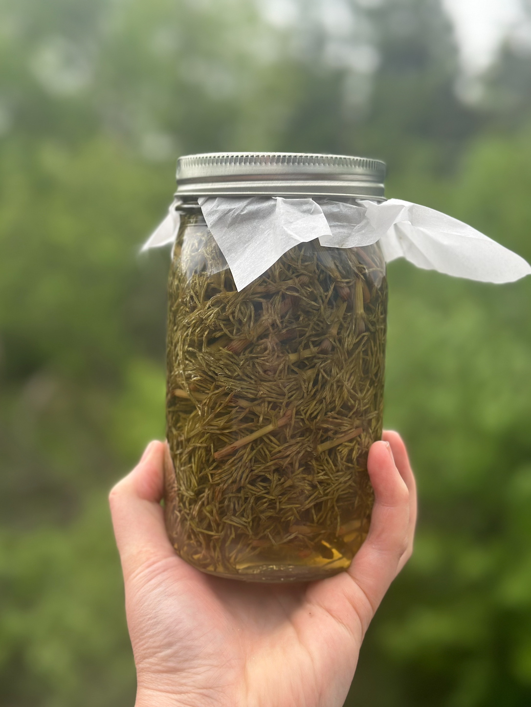 DIY Herbal Hair Rinse