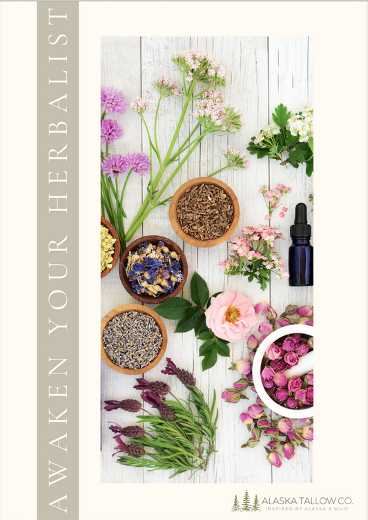 AWAKEN YOUR HERBALIST | infusion methods