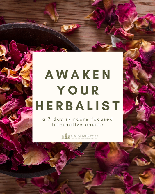 AWAKEN YOUR HERBALIST | a 7 day course